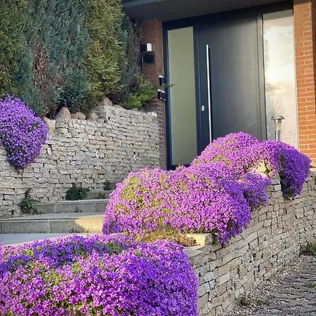 Seeblick - Familien - Hunde - Strandnah - Ostseeblick - Sauna&wellness Apartment Sierksdorf