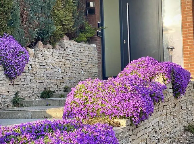 Seeblick - Familien - Hunde - Strandnah - Ostseeblick - Sauna & Wellness Apartamento Sierksdorf