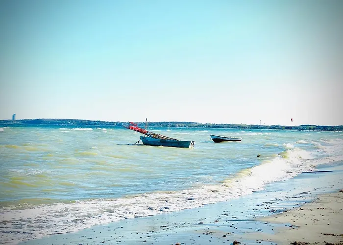 Seeblick - Familien - Hunde - Strandnah - Ostseeblick - Sauna & Wellness *